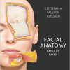 Facial Anatomy Layer by Layer
