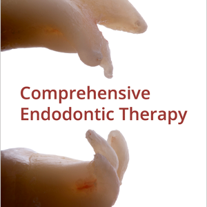 Comprehensive Endodontic Therapy
